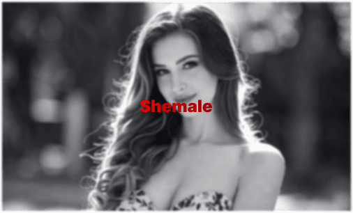 Shemale & Trans Porn: The Complete Viewer's Guide